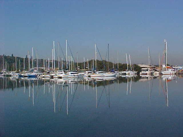 Bluff Yacht Club gallery image 13