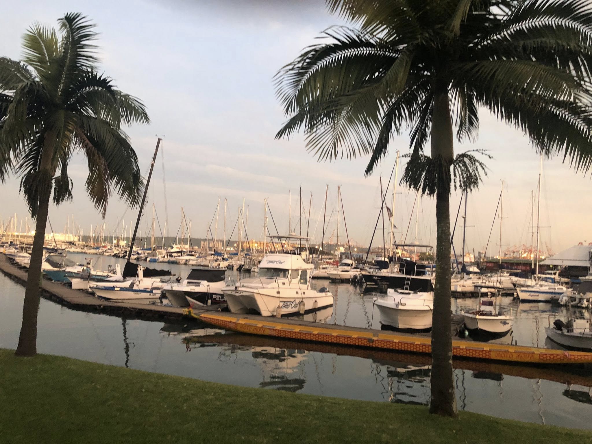 Bluff Yacht Club gallery image 8